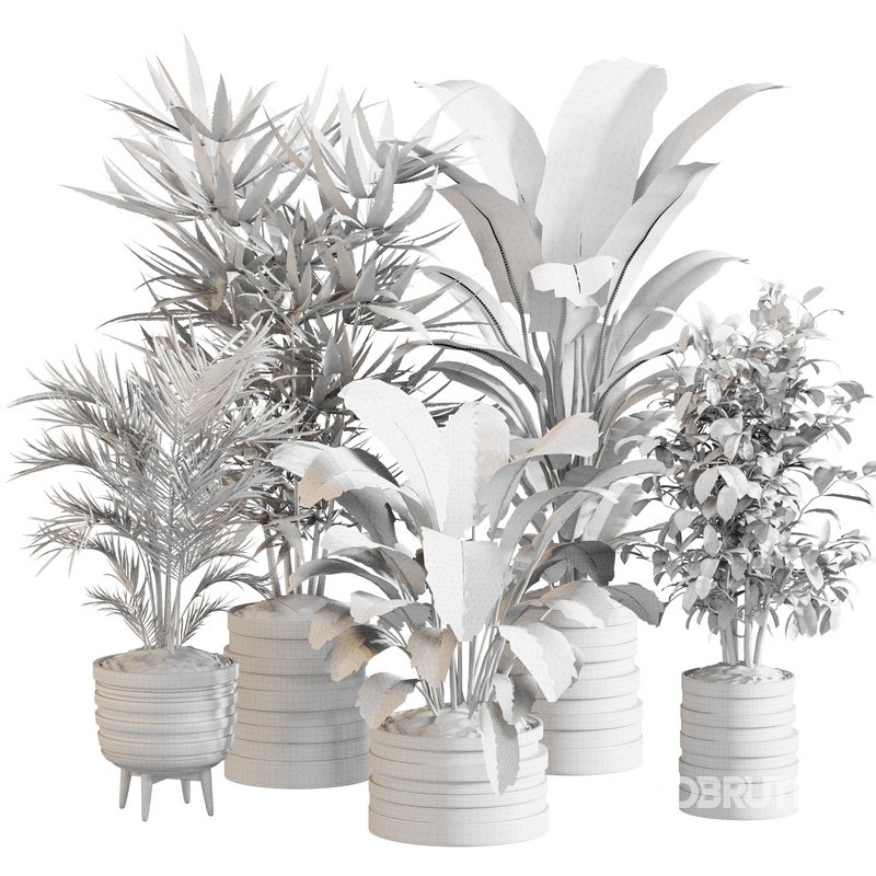 Indoor Plant Set 0146 Image 5