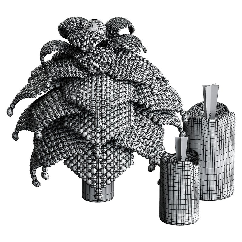 Decorative Fir Image 3