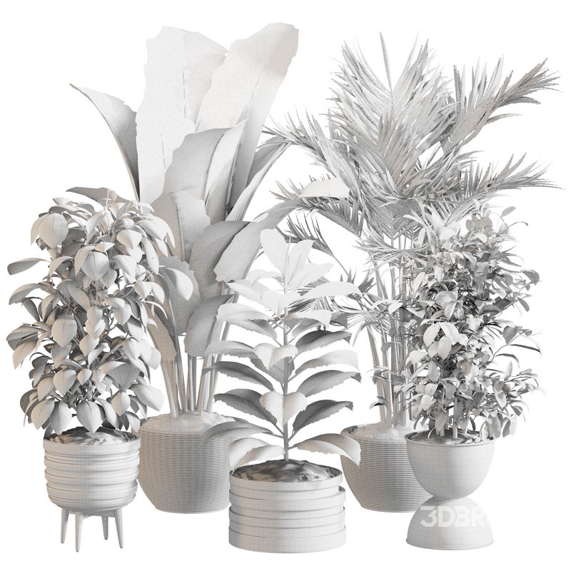 Indoor Plant Set 0143 Image 5