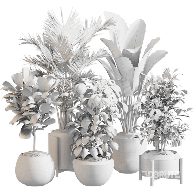 Indoor Plant Set 0147 Image 5