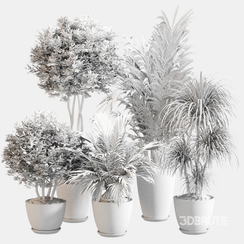 Indoor Plant Set 0144 Image 4