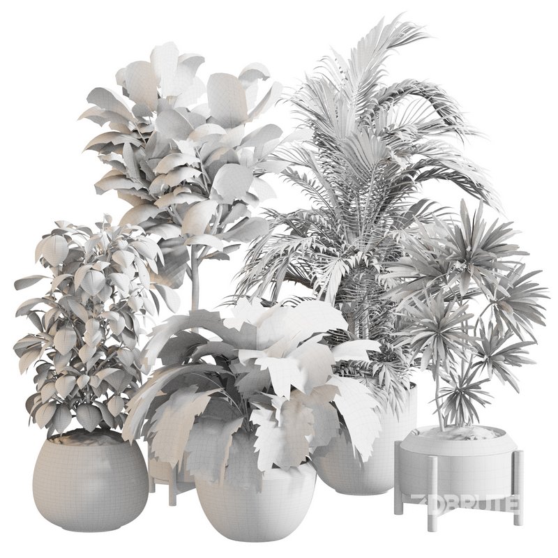 Indoor Plant Set 0145 Image 5