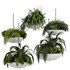 Indoorplants-Hanging plants set-82 - Thumbnail 1