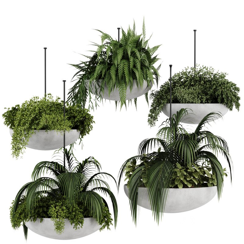 Indoorplants-Hanging plants set-82 Image 1