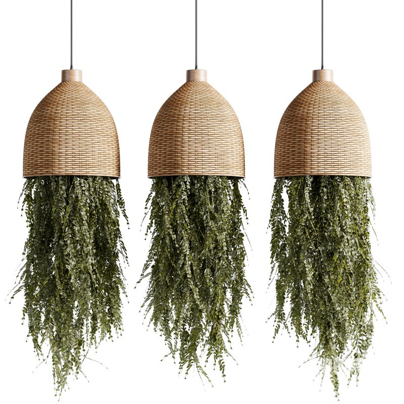 Indoorplants-Hanging plants set-81 Image 1