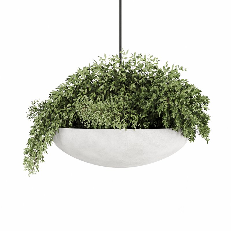 Indoorplants-Hanging plants set-82 Image 7