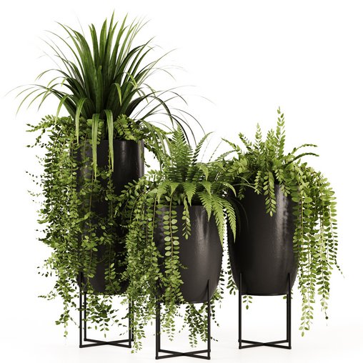 Indoorplants-149