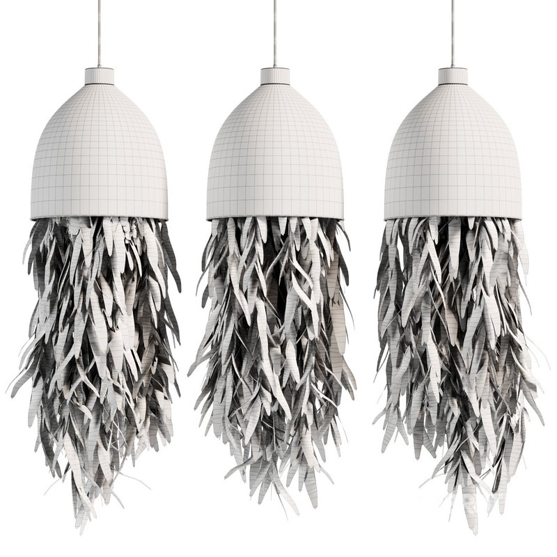 Indoorplants-Hanging plants set-81 Image 2