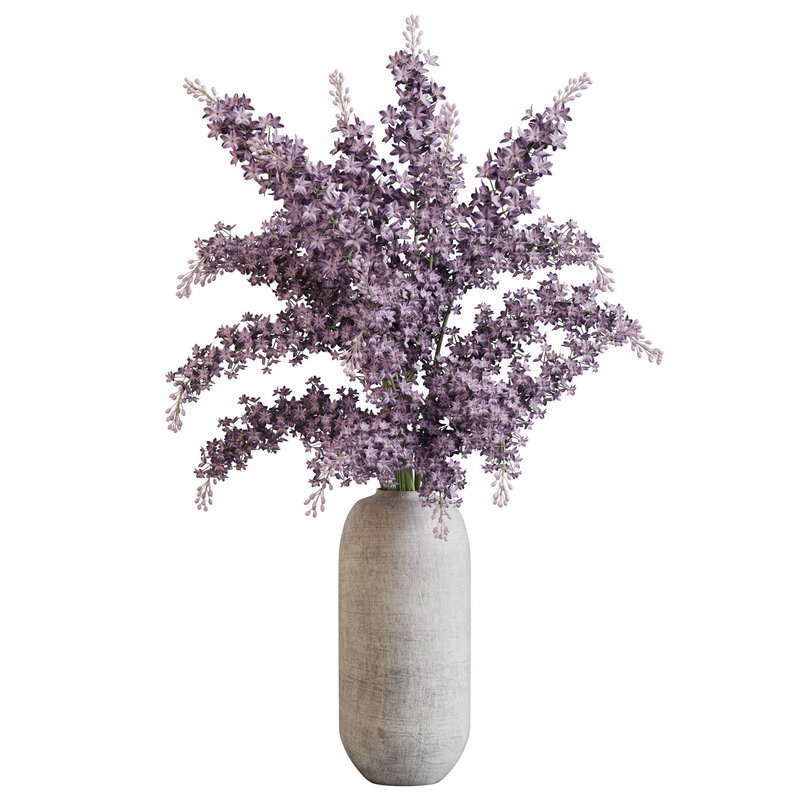 blooming lilac in white pot Image 2
