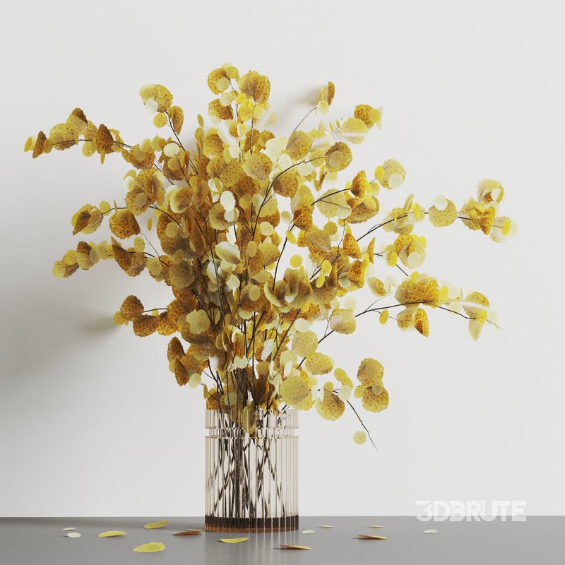 decorative plants001 Image 1