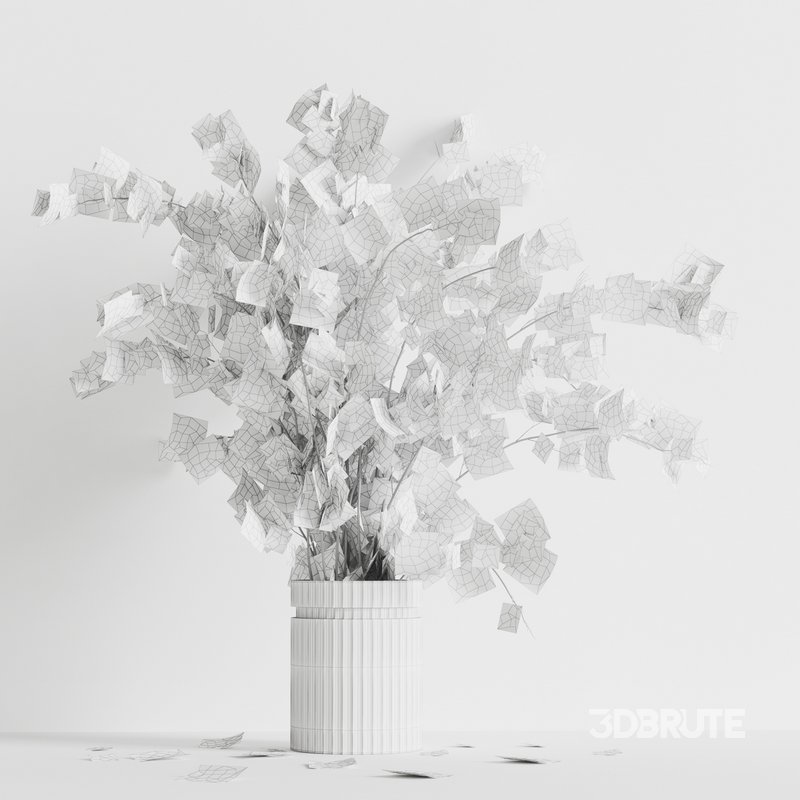 decorative plants001 Image 2