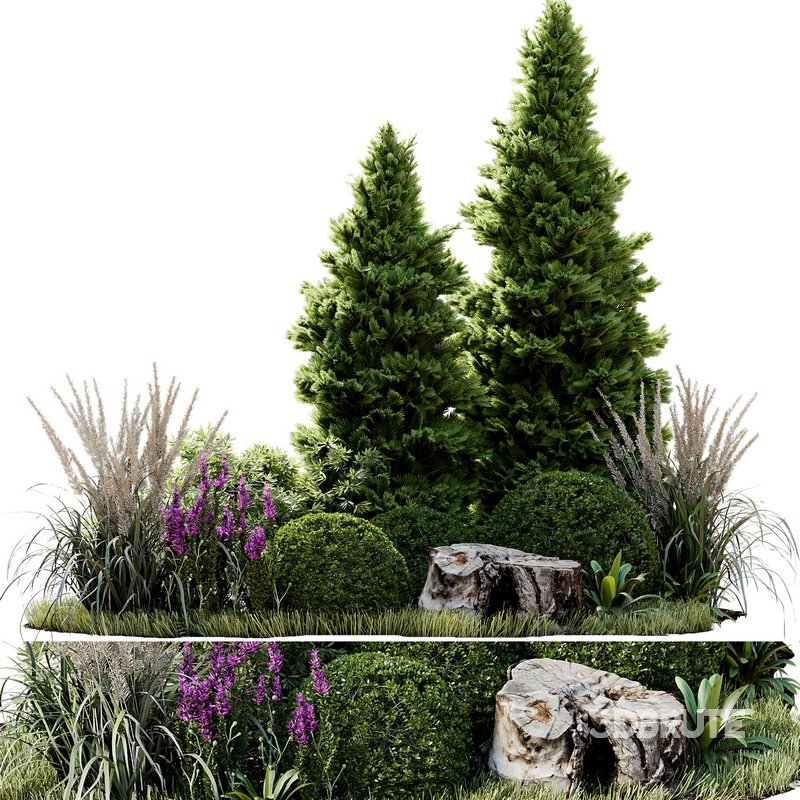 Outdoor Plant 34 Image 1