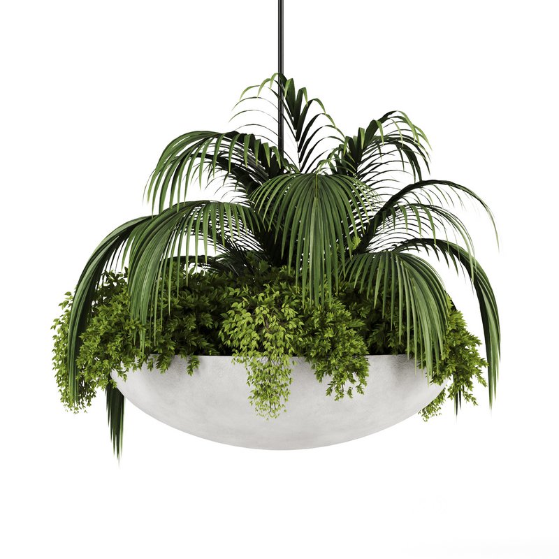 Indoorplants-Hanging plants set-82 Image 6