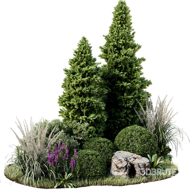 Outdoor Plant 34 Image 3