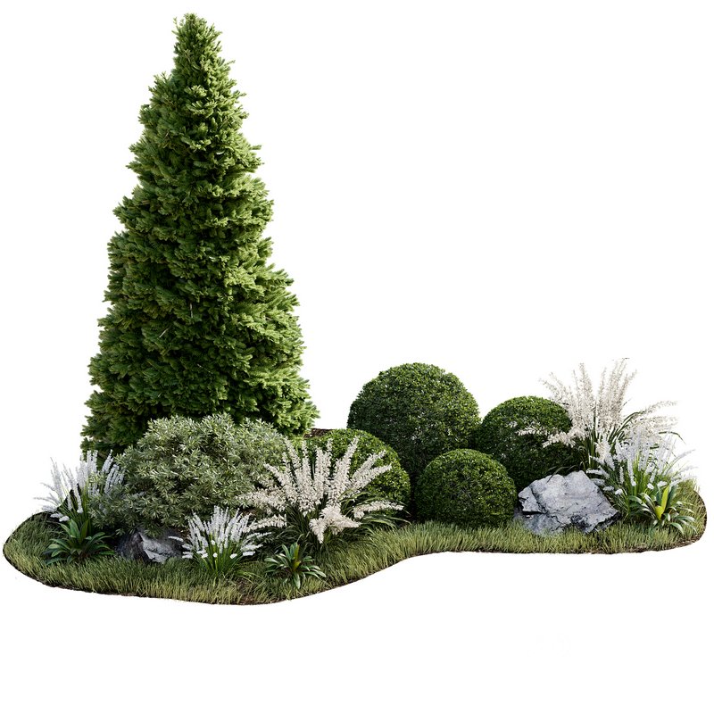 Outdoor Plant 33 Image 3