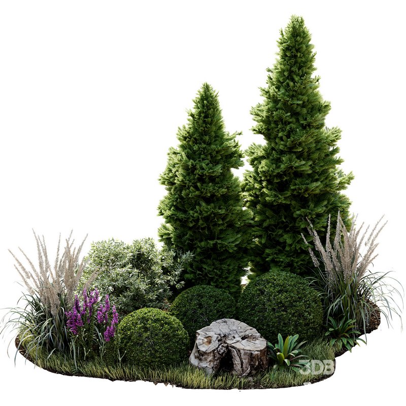 Outdoor Plant 34 Image 2