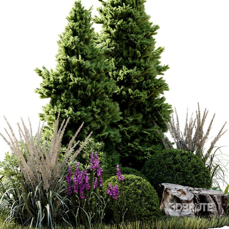 Outdoor Plant 34 Image 4