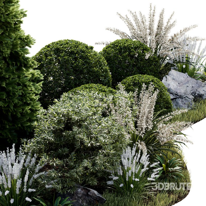 Outdoor Plant 33 Image 4