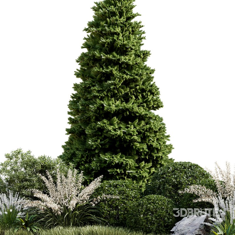 Outdoor Plant 33 Image 5