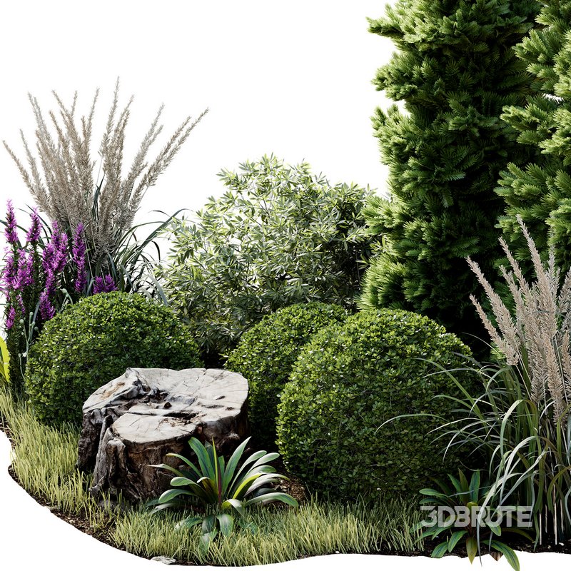 Outdoor Plant 34 Image 5