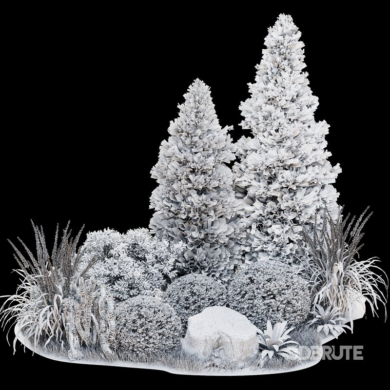 Outdoor Plant 34 Image 6