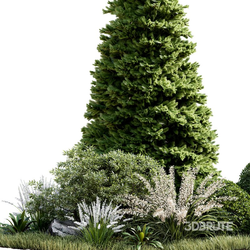 Outdoor Plant 33 Image 6