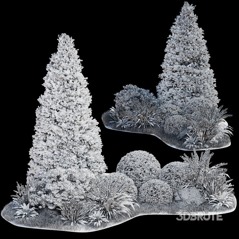 Outdoor Plant 33 Image 7