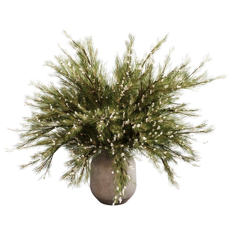 Christmas pine 01 Image 3