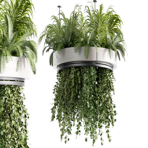 Indoorplants-Hanging plants set-77