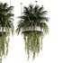 Indoorplants-Hanging plants set-78 - Thumbnail 1