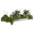 Indoorplants-Hanging plants set-80 - Thumbnail 5