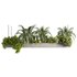 Indoorplants-Hanging plants set-80 - Thumbnail 2