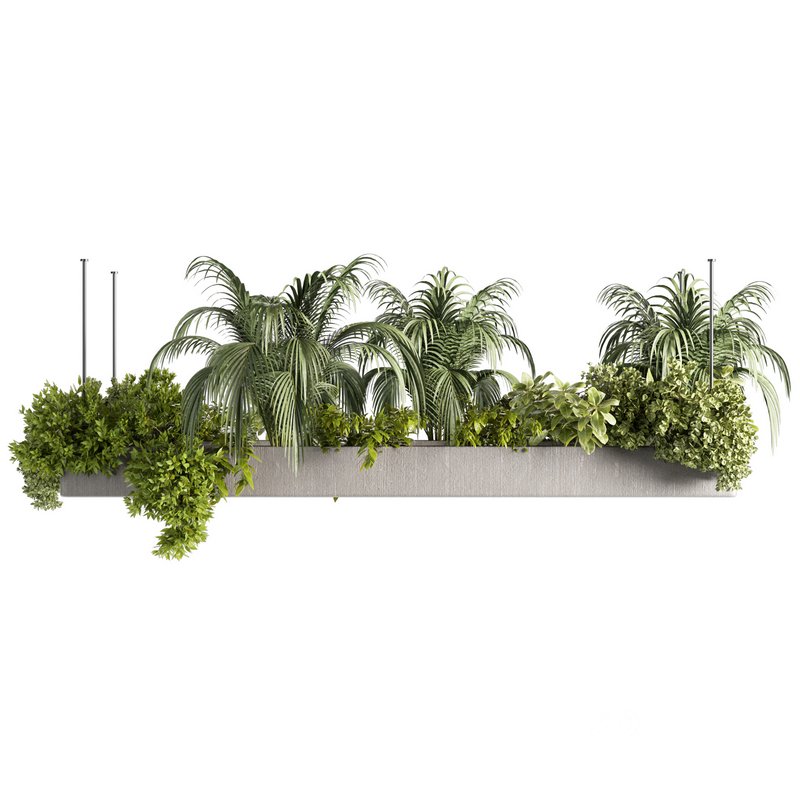 Indoorplants-Hanging plants set-80 Image 2