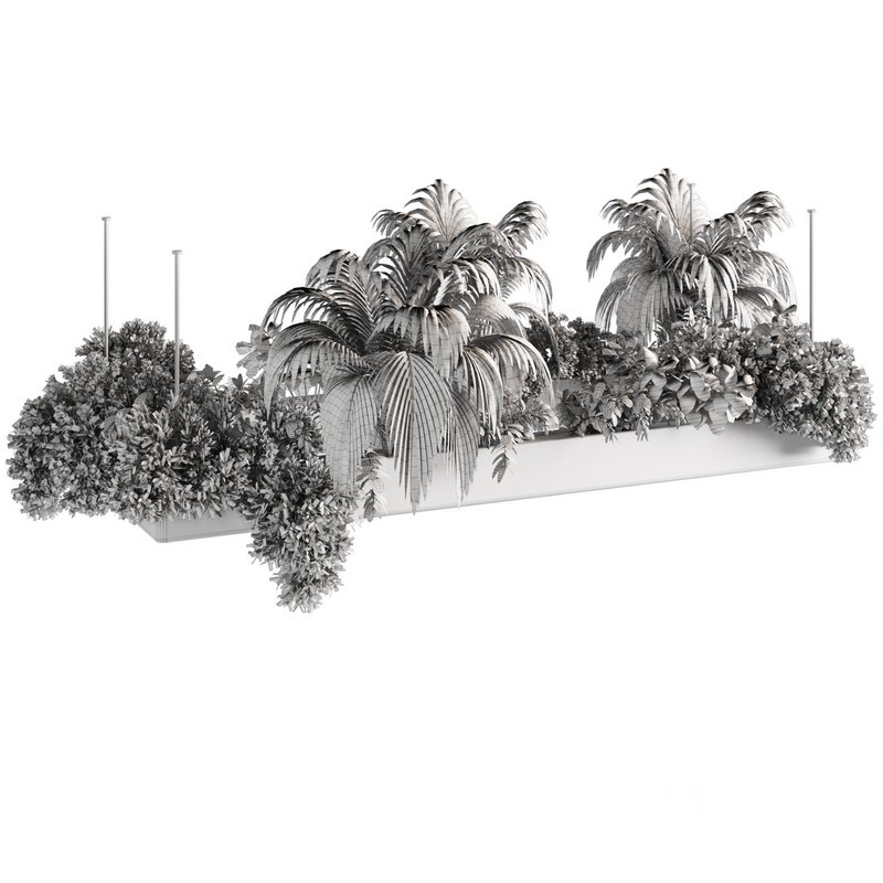 Indoorplants-Hanging plants set-80 Image 4