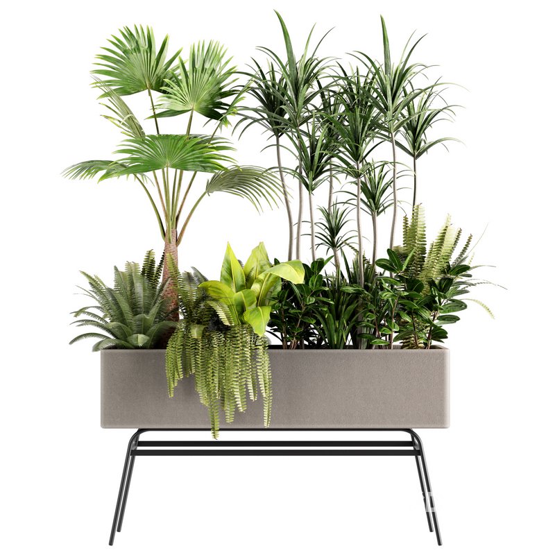 indoorplants-plants in Boxset147 Image 1