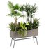 indoorplants-plants in Boxset147 - Thumbnail 5
