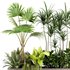 indoorplants-plants in Boxset147 - Thumbnail 2