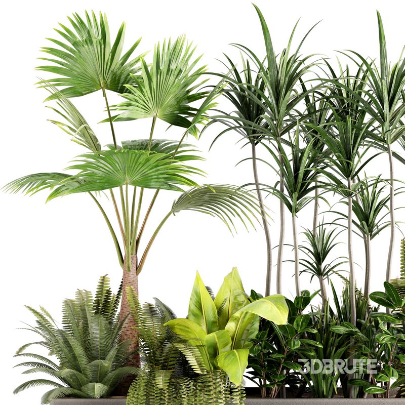 indoorplants-plants in Boxset147 Image 2