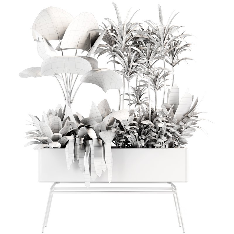 indoorplants-plants in Boxset147 Image 3