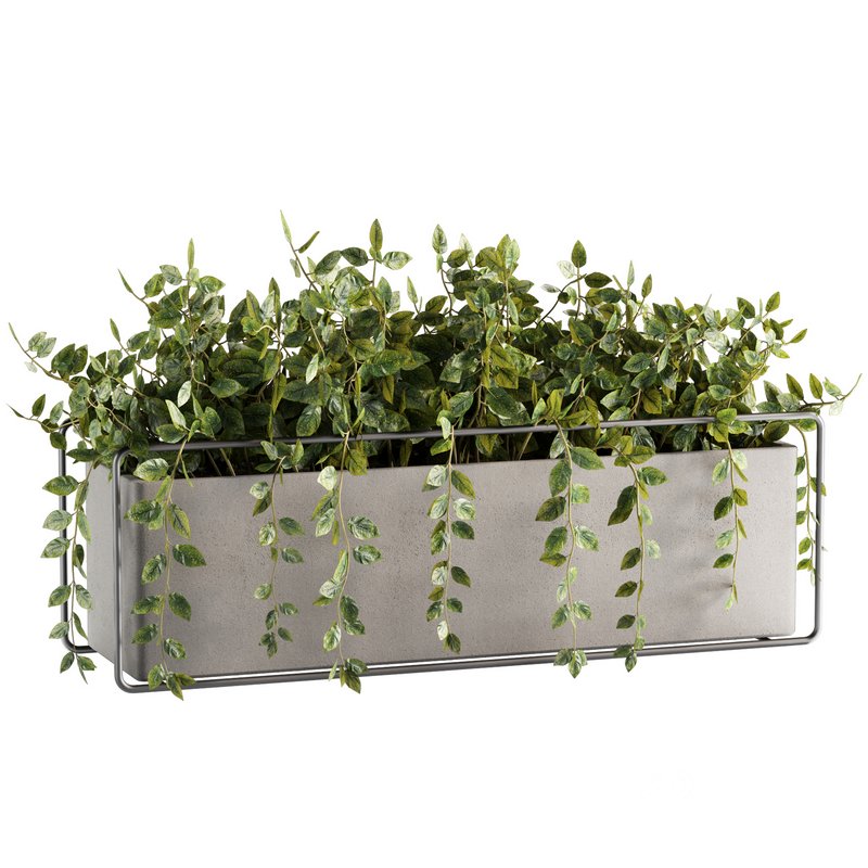 Indoorplants-plants in Boxset148 Image 4