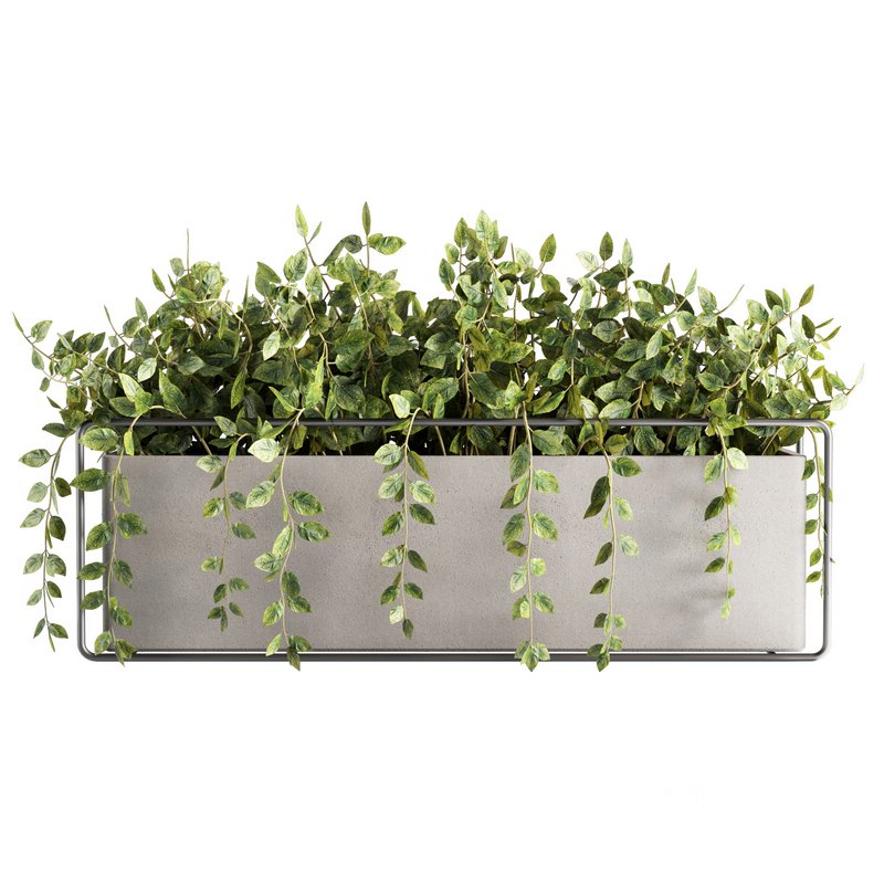 Indoorplants-plants in Boxset148 Image 1