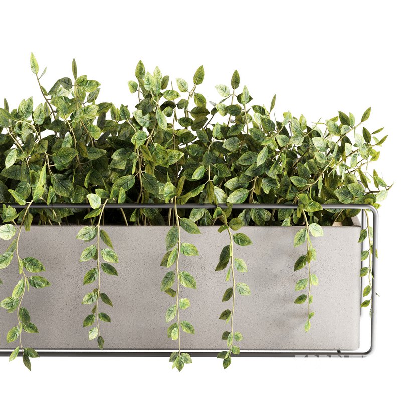 Indoorplants-plants in Boxset148 Image 3