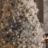 Christmas Tree and Decoration 73 - Thumbnail 5