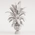 Banana Plant in Matte Black Planter - Thumbnail 5