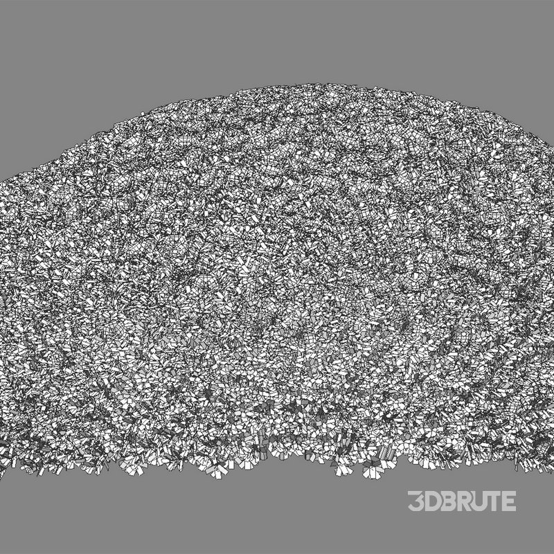 Rhododendron – Impatiens sodenii 01 Image 3