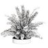 Decorative Pampas and Dried Leaves Arrangement - Thumbnail 5