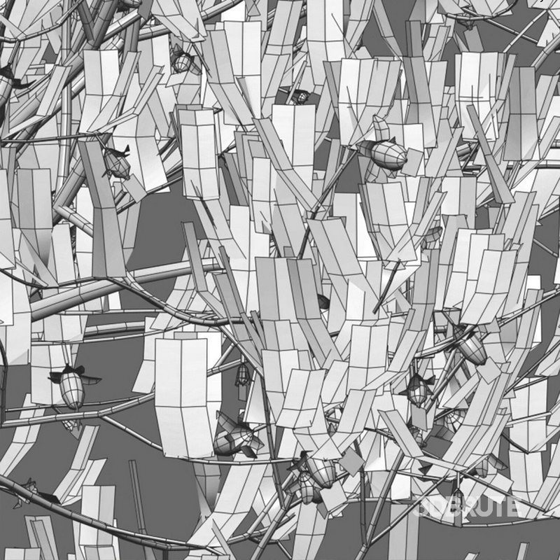 Simmondsia Chinensis – Jojoba Image 4