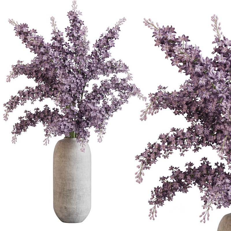 blooming lilac in white pot Image 1