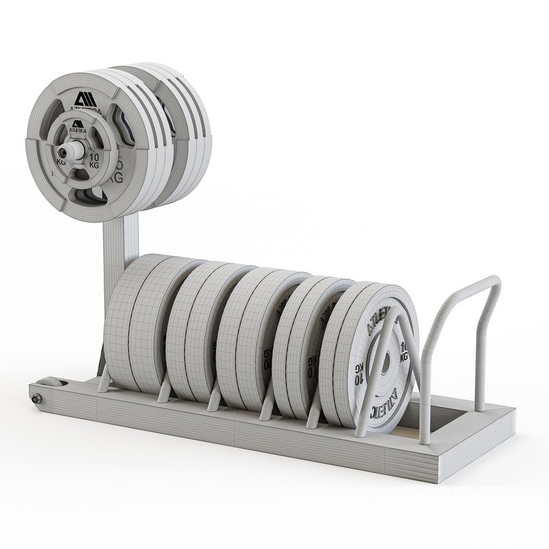 Tusker mobile weight plate rack Image 16