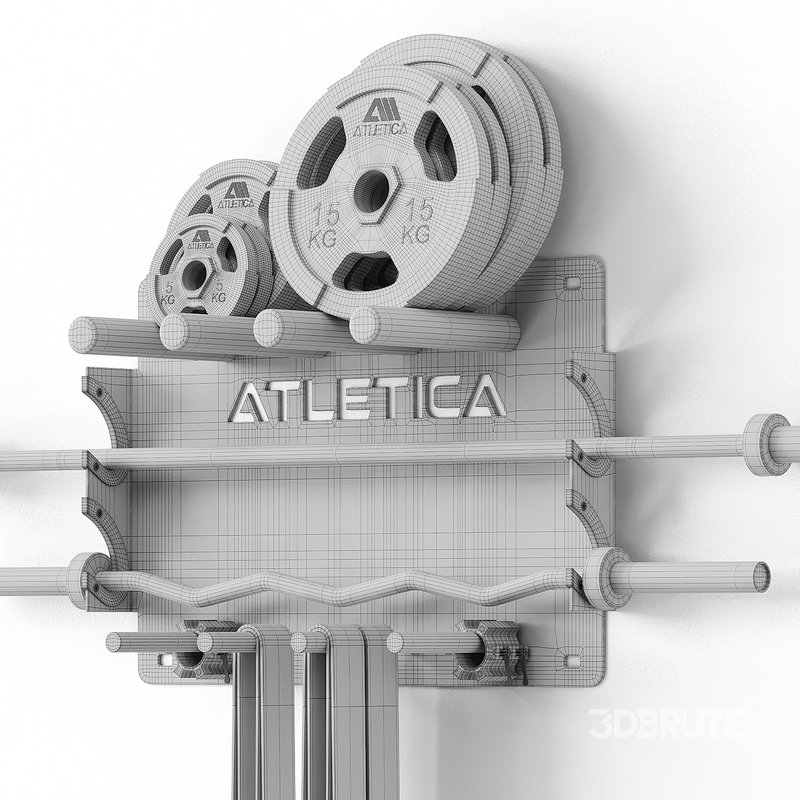 Blade wall mount weights Image 15